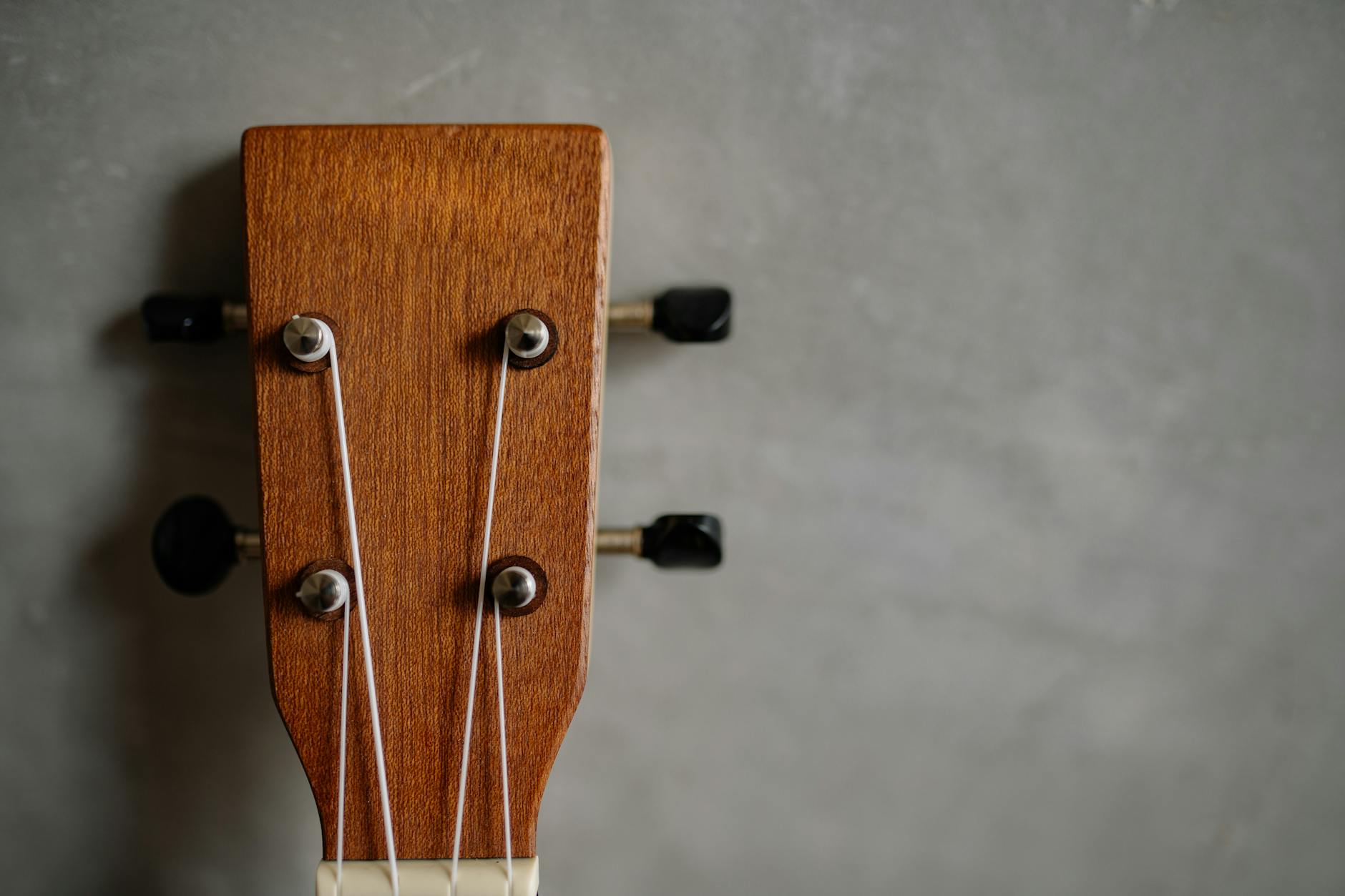 Główka drewnianego ukulele z kluczami stroikowymi na szarym tle